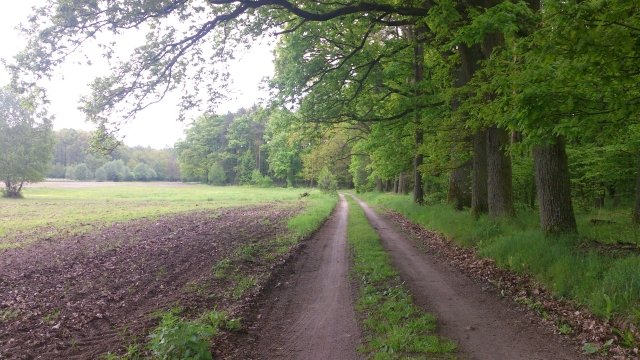 Działka budowlana na uboczu – Koźle, gm. Pniewy